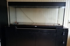 Aquarium geplaatst - 18-12-2021