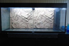 Achterwand er in - 22-12-2021
