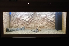 Aquarium gevuld met water - 06-01-2022