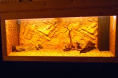 Aquariuminrichting 14-01-2022