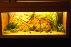 Meer aanplant - 29-01-2022