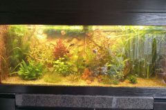 Aquarium op 09-04-2022