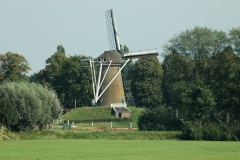 De molen bij Bronckhorst