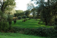 De Hoge Linie